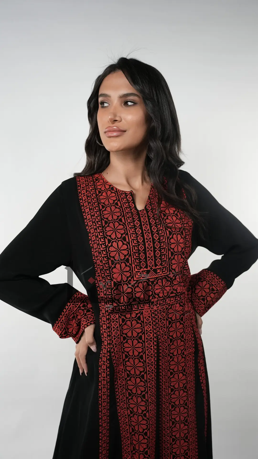 Black and Red Embroidered Dress