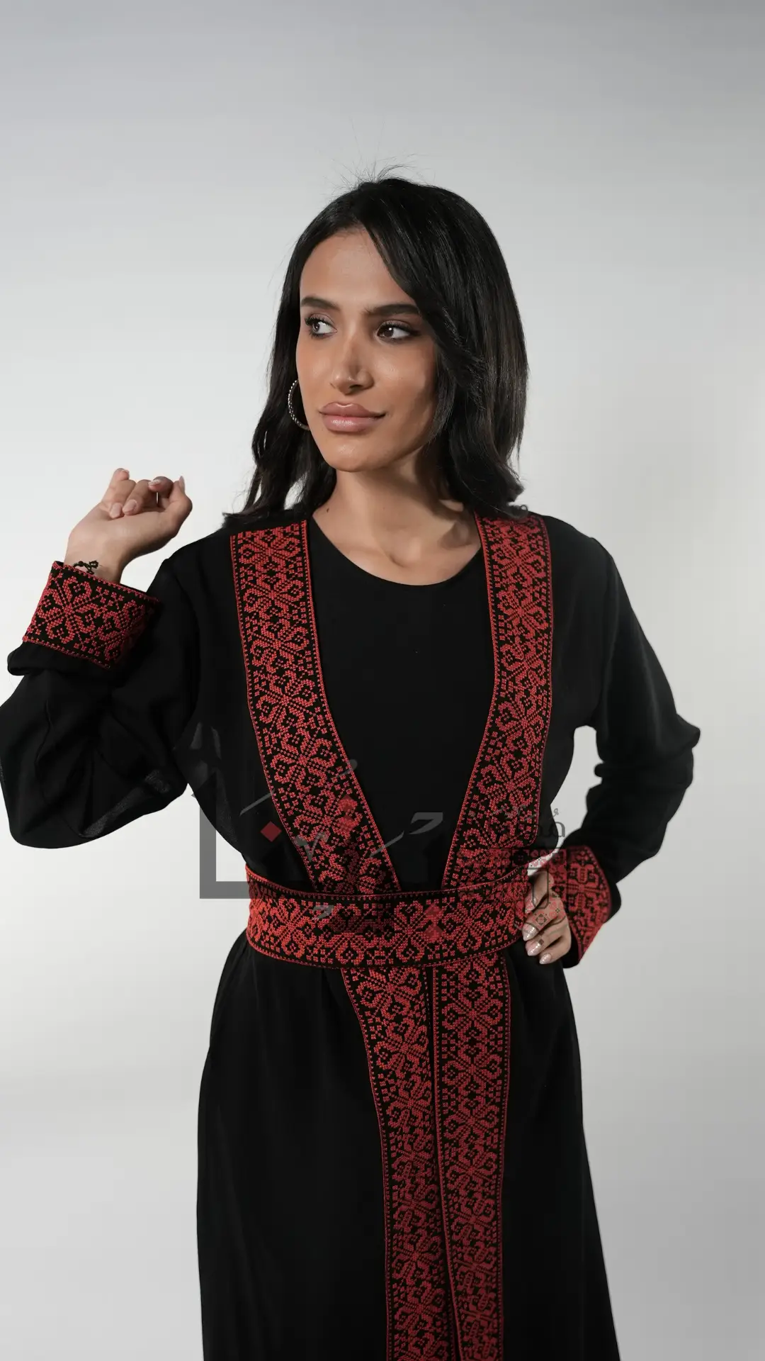 Embroidered Black and Red Dress